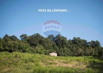 TERRENO - Rustico LOC. COLLELUNGO
 
SNC, Roccastrada - foto 5