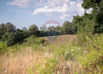 TERRENO - Rustico LOC. COLLELUNGO
 
SNC, Roccastrada - foto 27