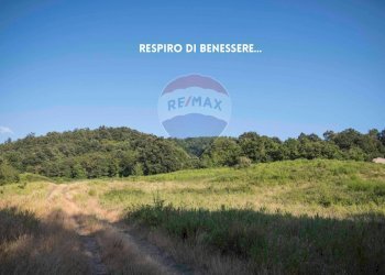 TERRENO - Rustico LOC. COLLELUNGO
 
SNC, Roccastrada - foto 28