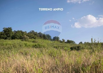 TERRENO - Rustico LOC. COLLELUNGO
 
SNC, Roccastrada - foto 29