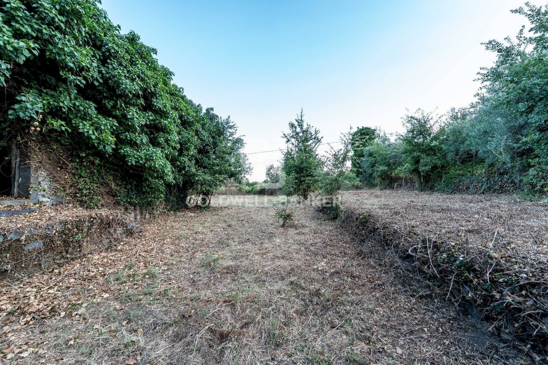 Foto 3 - Rustico Via Bellavista    C.da Miscariello
 
snc, Giarre - foto 3