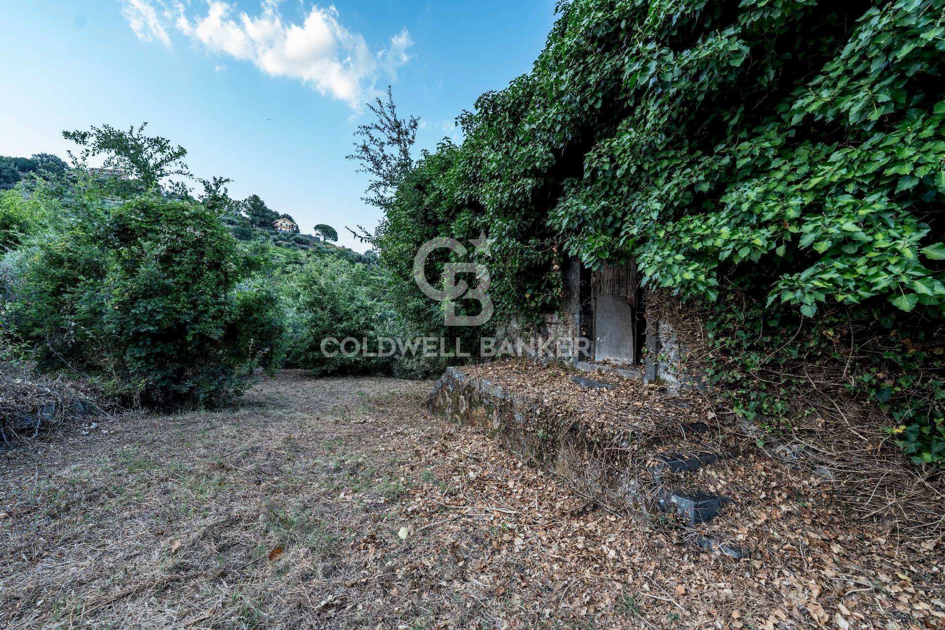 Foto 1 - Rustico Via Bellavista    C.da Miscariello
 
snc, Giarre - foto 1