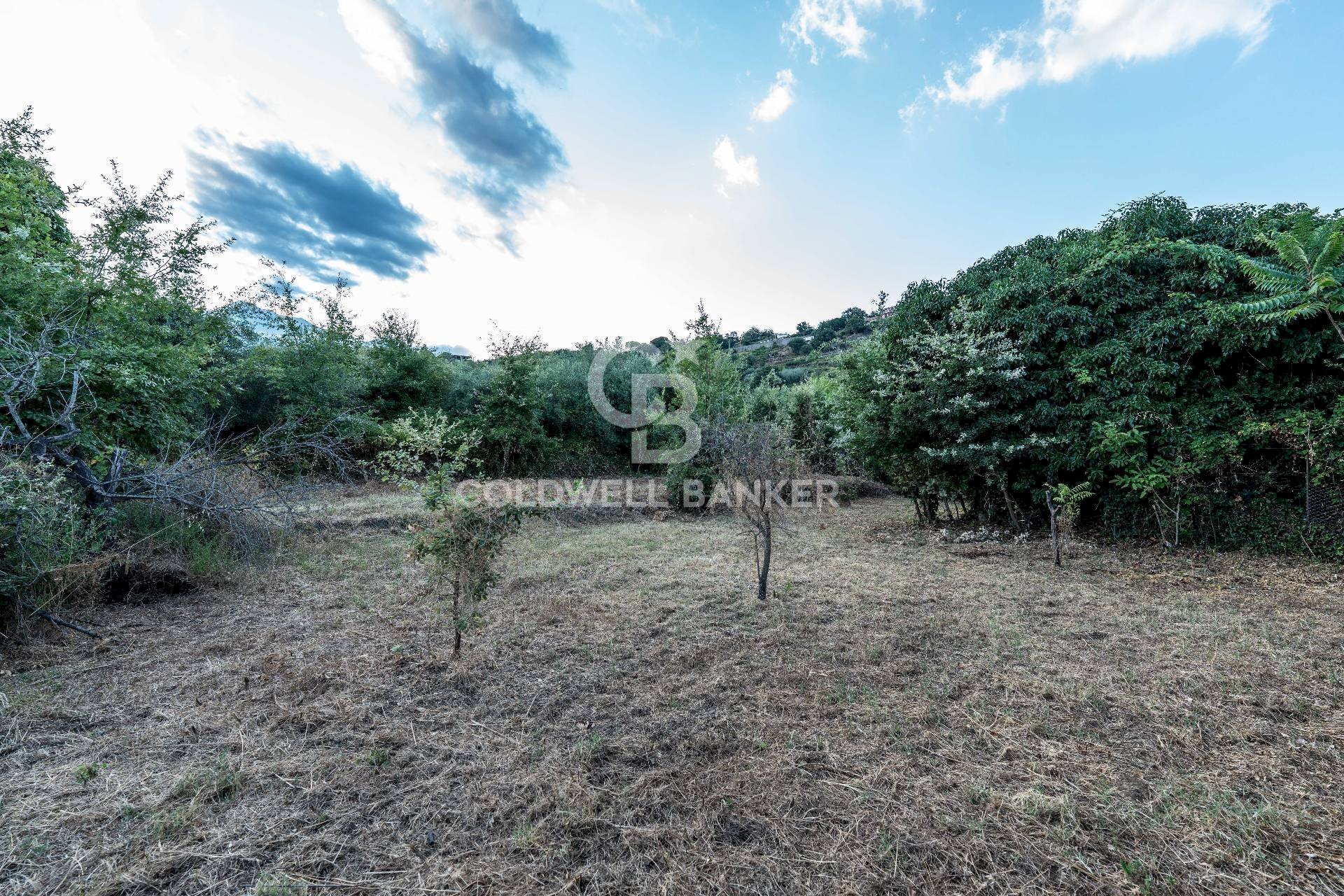 Foto 2 - Rustico Via Bellavista    C.da Miscariello
 
snc, Giarre - foto 2