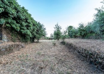 Foto 3 - Rustic Via Bellavista    C.da Miscariello
 
snc, Giarre - photo 3