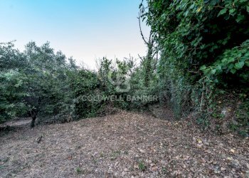 Foto 4 - Rustic Via Bellavista    C.da Miscariello
 
snc, Giarre - photo 4