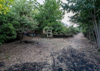 Foto 5 - Rustic Via Bellavista    C.da Miscariello
 
snc, Giarre - photo 5