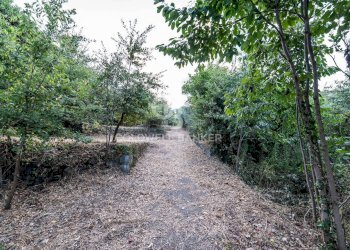 Foto 6 - Rustic Via Bellavista    C.da Miscariello
 
snc, Giarre - photo 6