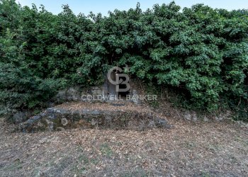 Foto 9 - Rustic Via Bellavista    C.da Miscariello
 
snc, Giarre - photo 9