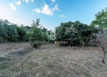 Foto 10 - Rustic Via Bellavista    C.da Miscariello
 
snc, Giarre - photo 10