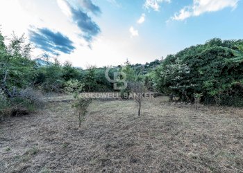 Foto 2 - Rustic Via Bellavista    C.da Miscariello
 
snc, Giarre - photo 2