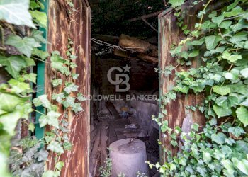 Foto 16 - Rustic Via Bellavista    C.da Miscariello
 
snc, Giarre - photo 16