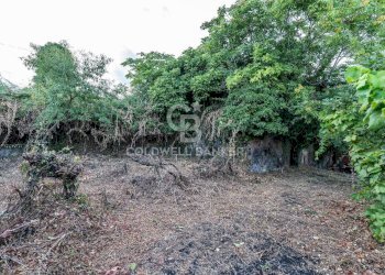 Foto 21 - Rustic Via Bellavista    C.da Miscariello
 
snc, Giarre - photo 21