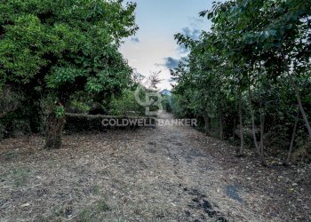 Foto 25 - Rustic Via Bellavista    C.da Miscariello
 
snc, Giarre - photo 25