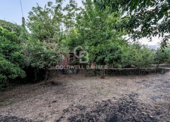 Foto 26 - Rustic Via Bellavista    C.da Miscariello
 
snc, Giarre - photo 26