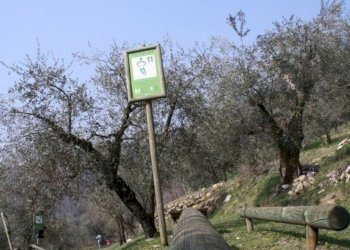 Foto 8 - Agriturismo Mandolare
 
6, Villaga - foto 8