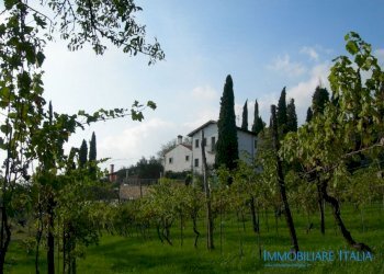 Foto 12 - Agriturismo Mandolare
 
6, Villaga - foto 12