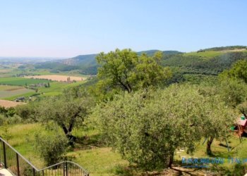 vista - Agriturismo Mandolare
 
6, Villaga - foto 19