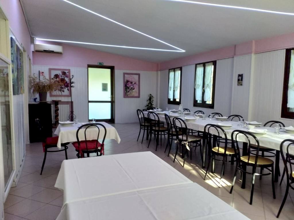 Interno non residenziale - Negozio via Valle Bassa, Novi di Modena - foto 3