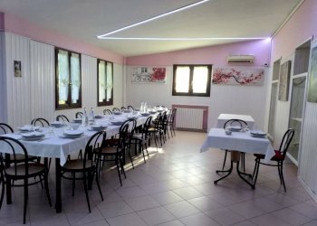 Interno non residenziale - Negozio via Valle Bassa, Novi di Modena - foto 4