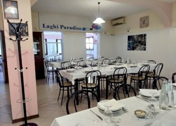 Interno non residenziale - Negozio via Valle Bassa, Novi di Modena - foto 8