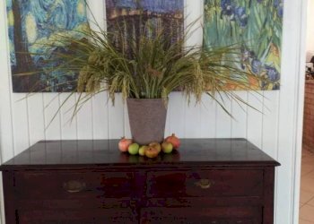 Ingresso - Negozio via Valle Bassa, Novi di Modena - foto 17