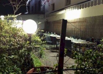 Giardino - Negozio via Valle Bassa, Novi di Modena - foto 19