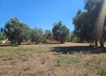 Foto 5 - Terreno agricolo Grosseto - foto 5