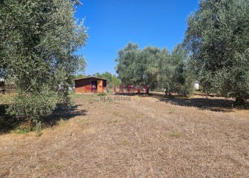 Foto 9 - Terreno agricolo Grosseto - foto 9