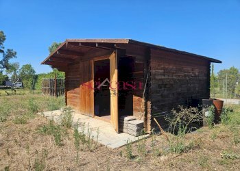 Foto 10 - Terreno agricolo Grosseto - foto 10