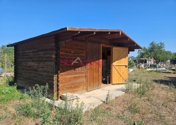 Foto 12 - Terreno agricolo Grosseto - foto 12