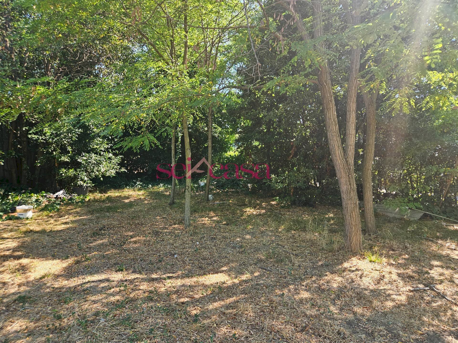 Foto 1 - Terreno edificabile Grosseto - foto 1