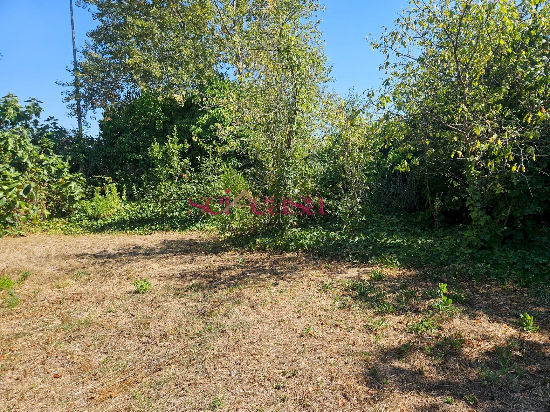 Foto 2 - Terreno edificabile Grosseto - foto 2