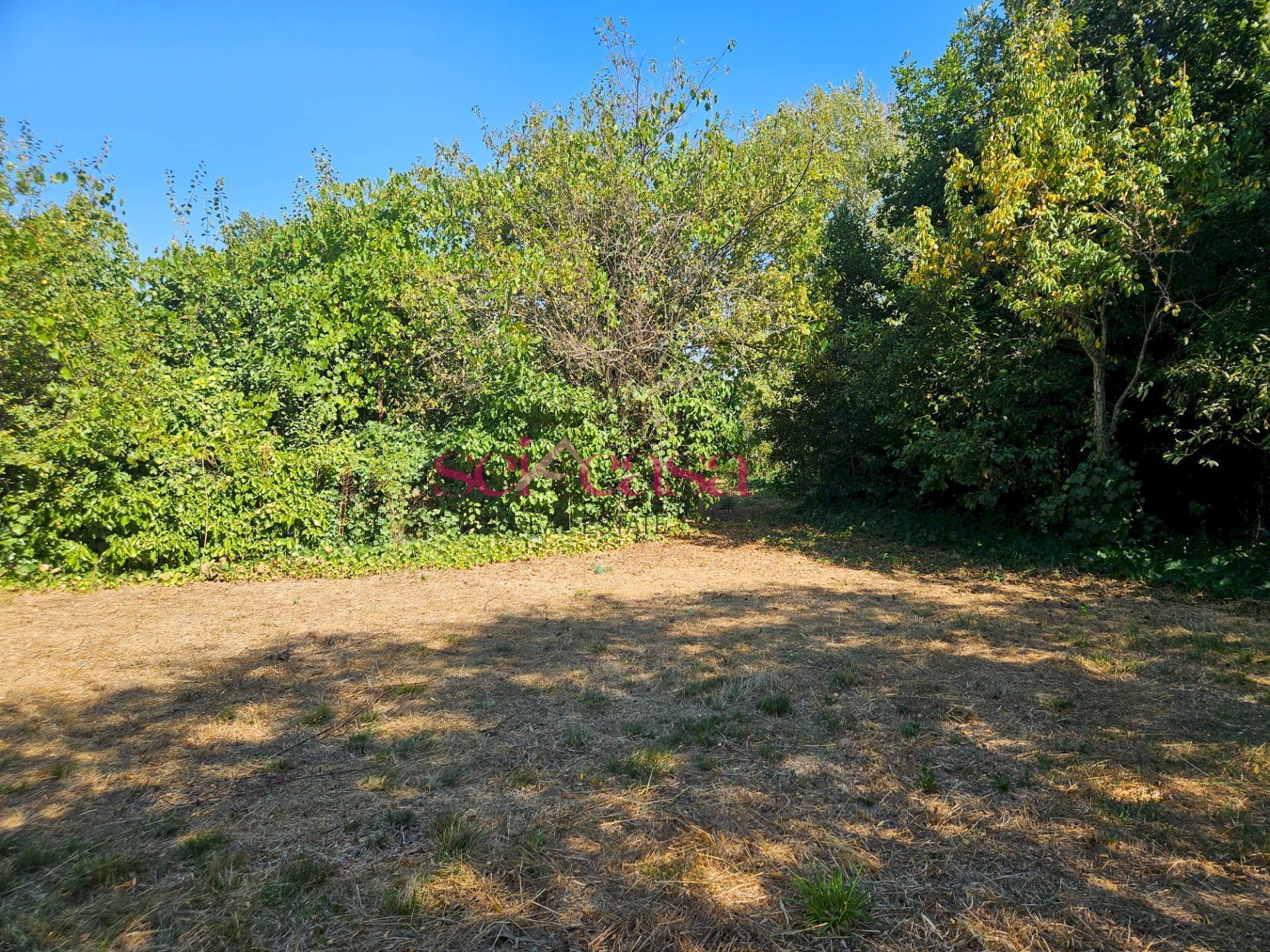 Foto 3 - Terreno edificabile Grosseto - foto 3