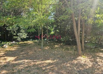 Foto 1 - Terreno edificabile Grosseto - foto 1