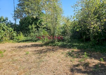 Foto 2 - Terreno edificabile Grosseto - foto 2