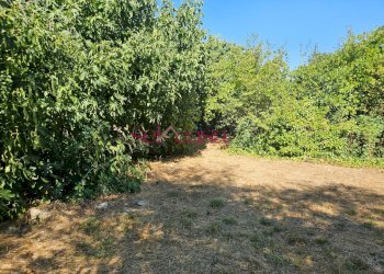 Foto 6 - Terreno edificabile Grosseto - foto 6