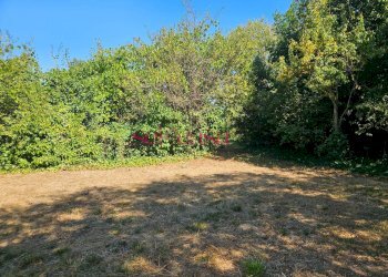 Foto 1 - Terreno edificabile Grosseto - foto 1