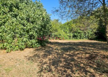 Foto 4 - Terreno edificabile Grosseto - foto 4