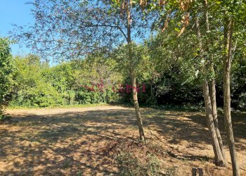 Foto 5 - Terreno edificabile Grosseto - foto 5