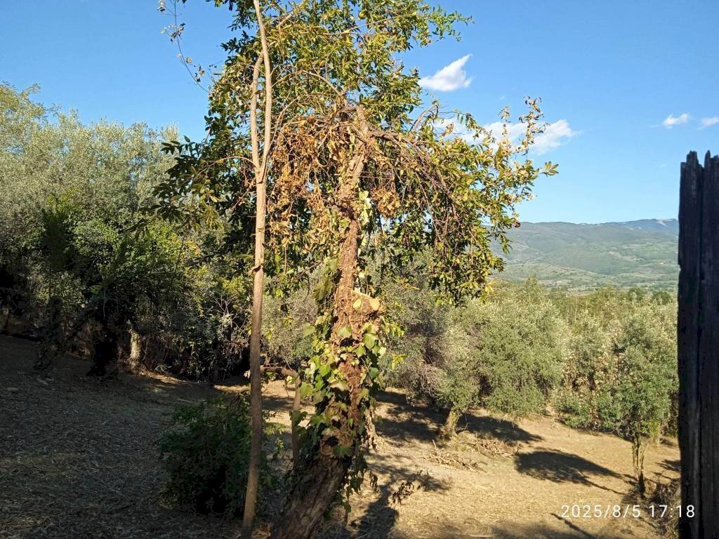 Vista - Terreno edificabile via 1 Maggio, Montelibretti - foto 2