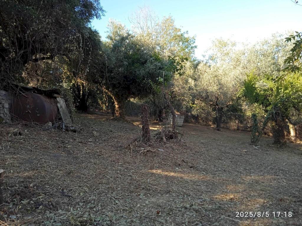 Terreno - Terreno edificabile via 1 Maggio, Montelibretti - foto 3