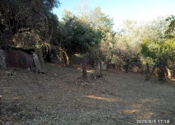 Terreno - Terreno edificabile via 1 Maggio, Montelibretti - foto 3