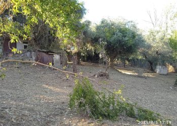 Terreno - Terreno edificabile via 1 Maggio, Montelibretti - foto 5