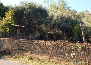 Terreno - Terreno edificabile via 1 Maggio, Montelibretti - foto 9