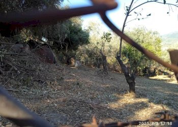 Terreno - Terreno edificabile via 1 Maggio, Montelibretti - foto 12