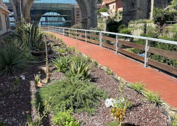 img_2767 - Trilocale via Mulinetti, Recco - foto 25