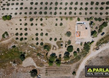 Villa Palma di Montechiaro - foto 4