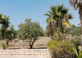 Villa Palma di Montechiaro - foto 21