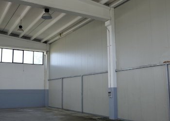 Shed Budrie, 36, San Giovanni in Persiceto - photo 8