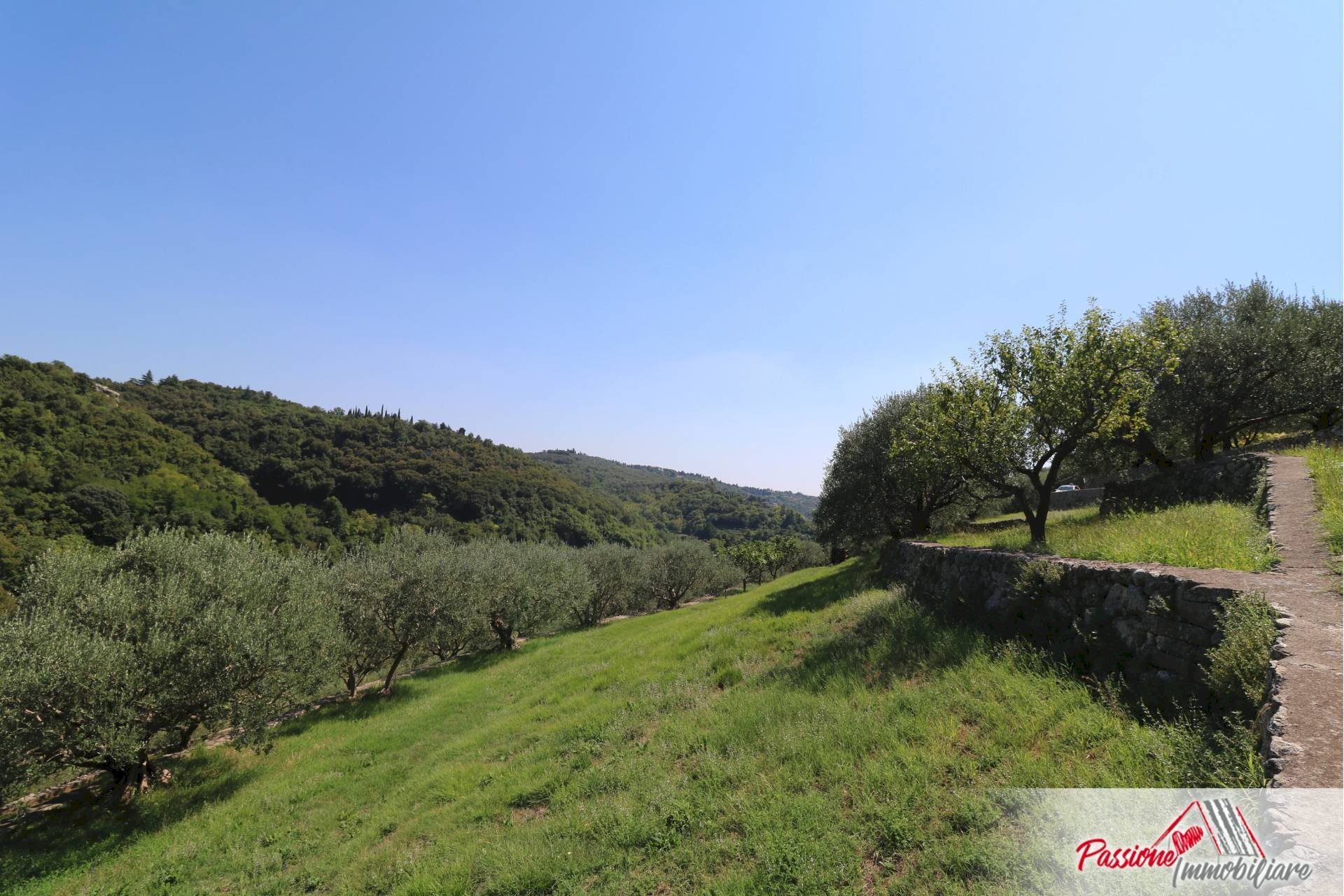 Foto 1 - Terreno agricolo Strada Del Borago, Verona - foto 1